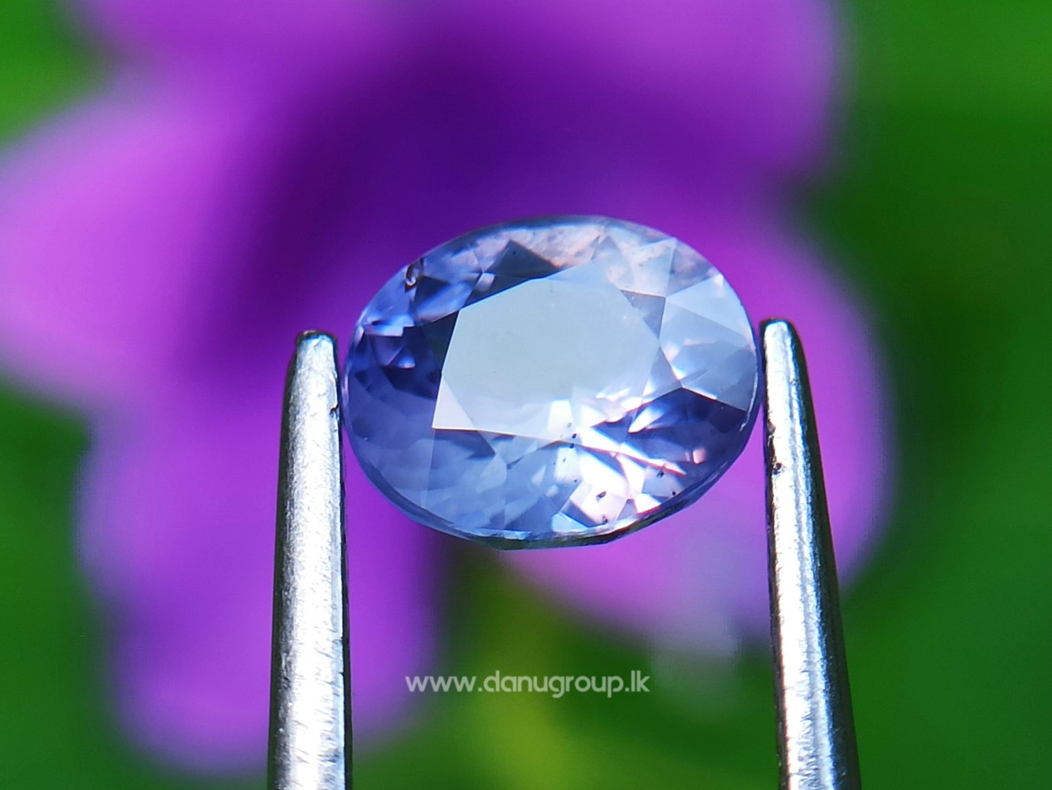 Ceylon Natural Violet Sapphire One of the best choice of women danu group Gemstones Collections