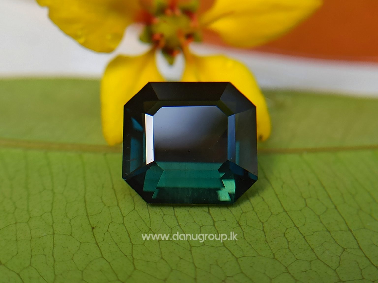 Natural Dark Green Sapphire Unheated Octagon shape stone from Danu Group Gemstones Collections