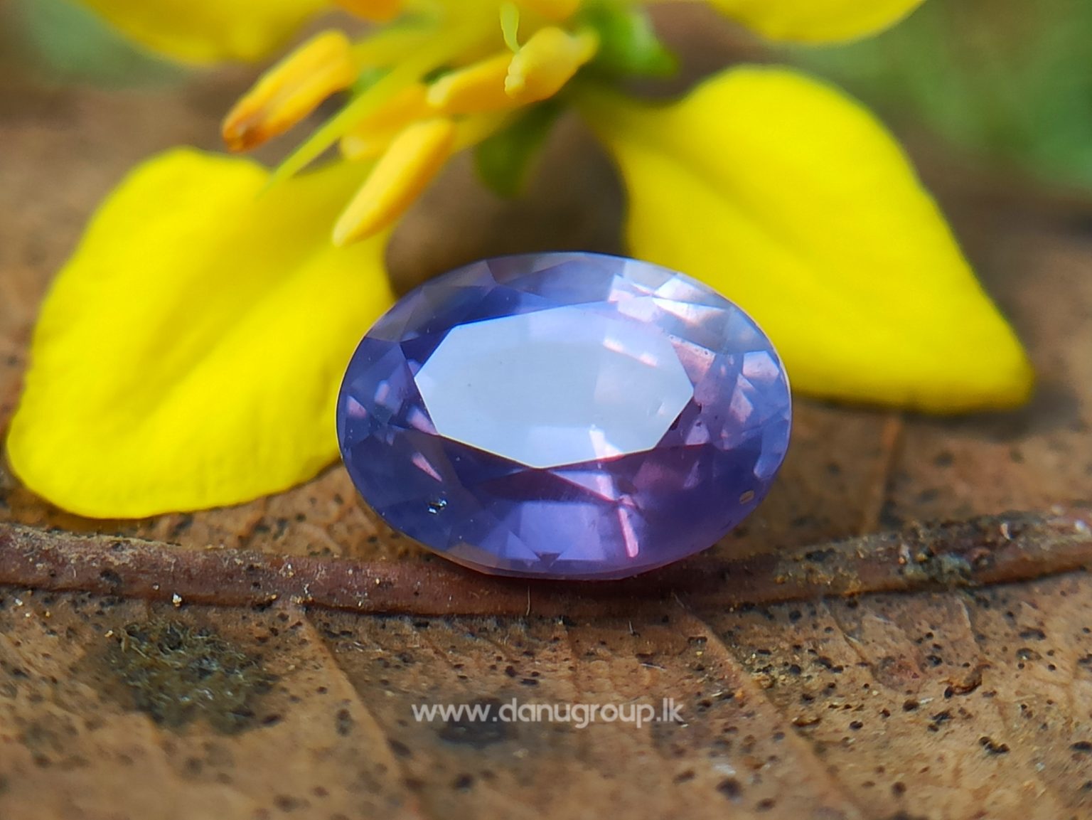 Natural Purple Sapphire Oval Shape stone from Danu Group