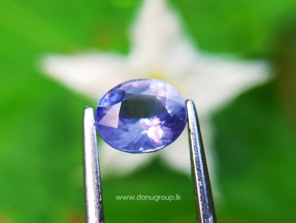 Ceylon Natural Violet Sapphire One of the best choice of women danu group Gemstones Collections