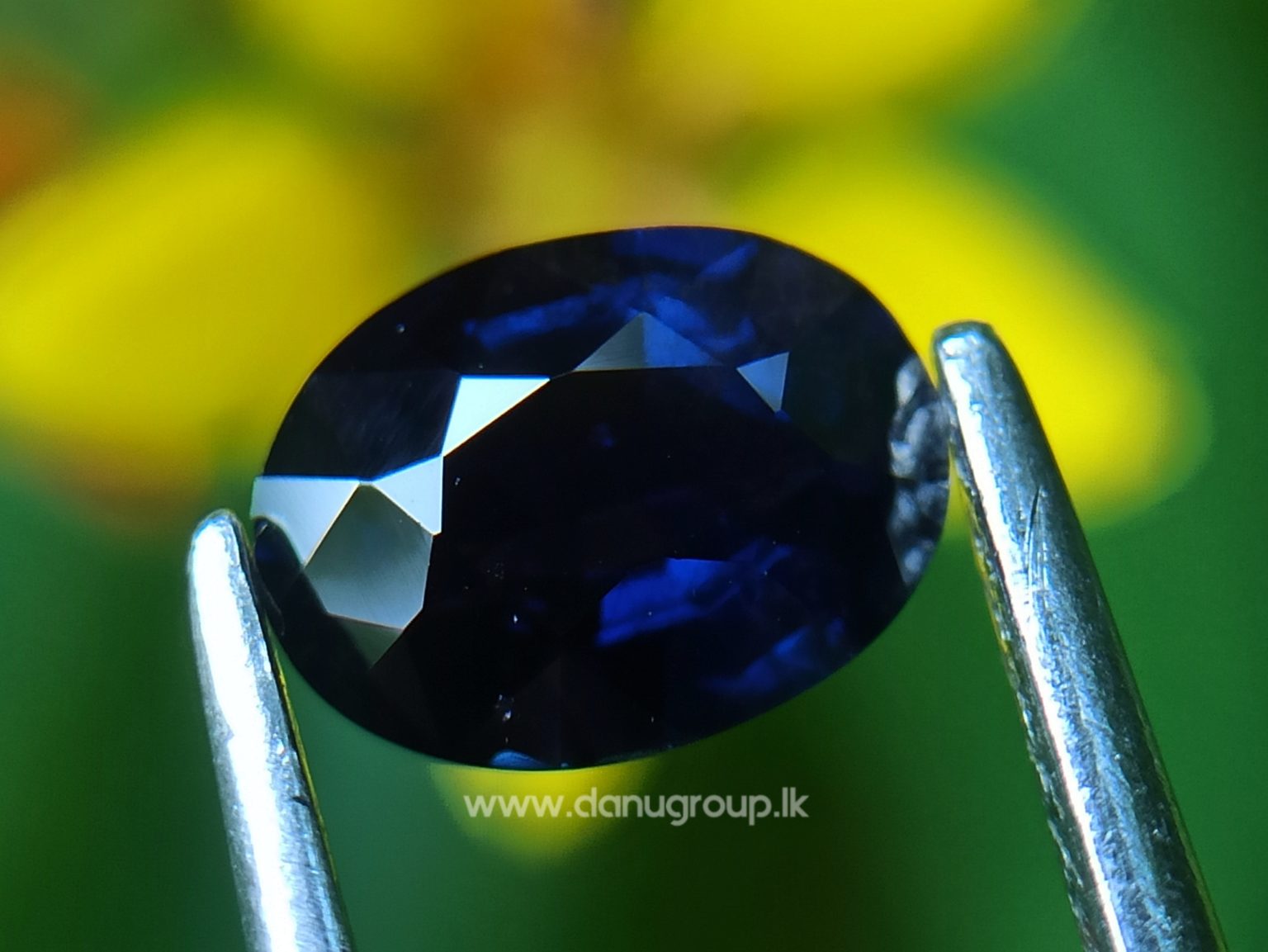 Dark Blue Sapphire Kaka neelam Stone of saturn astrological gem Danu Group Gemstones