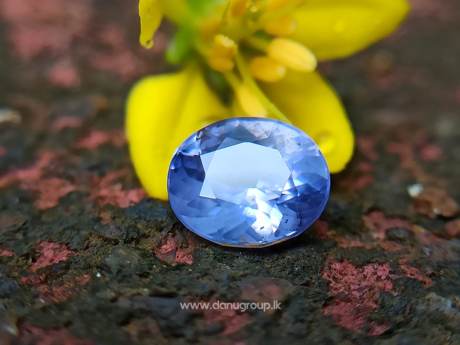 Ceylon Natural Violet Sapphire One of the best choice of women danu group Gemstones Collections