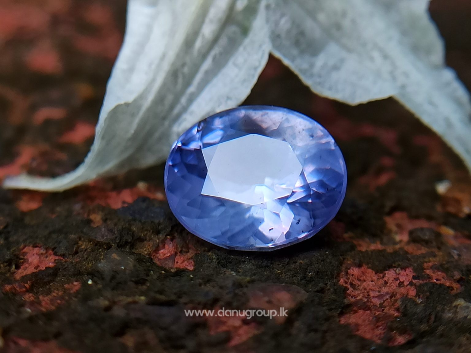 Ceylon Natural Violet Sapphire One of the best choice of women danu group Gemstones Collections