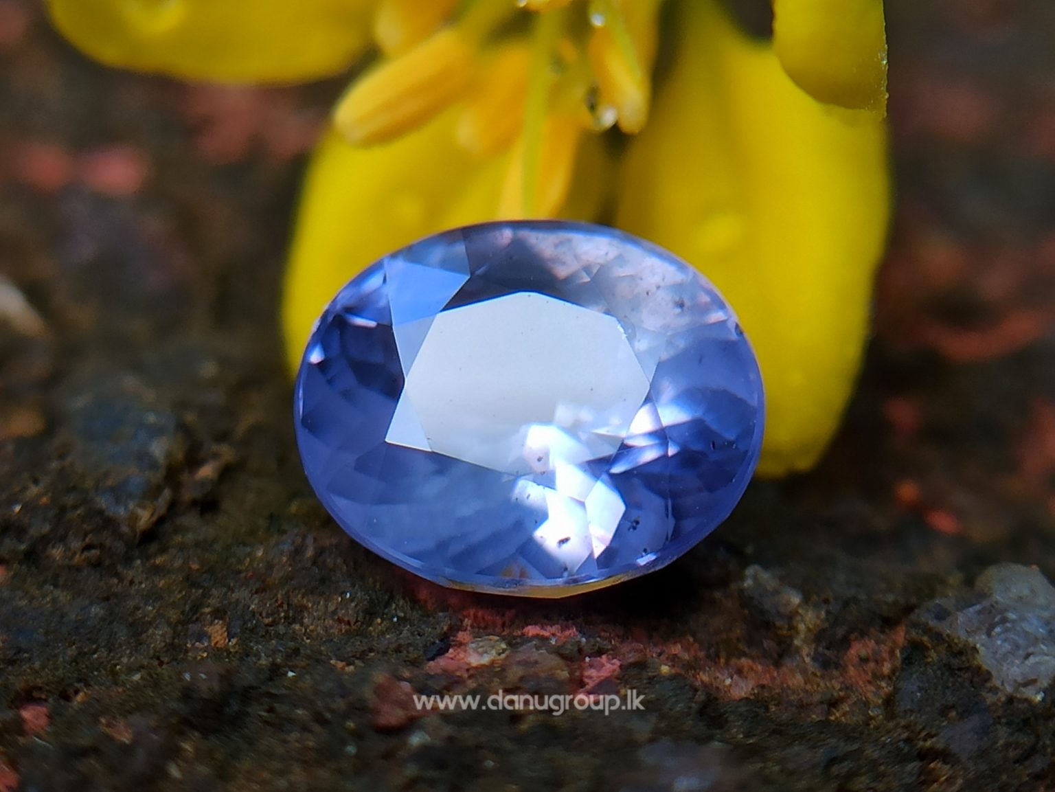 Ceylon Natural Violet Sapphire One of the best choice of women danu group Gemstones Collections