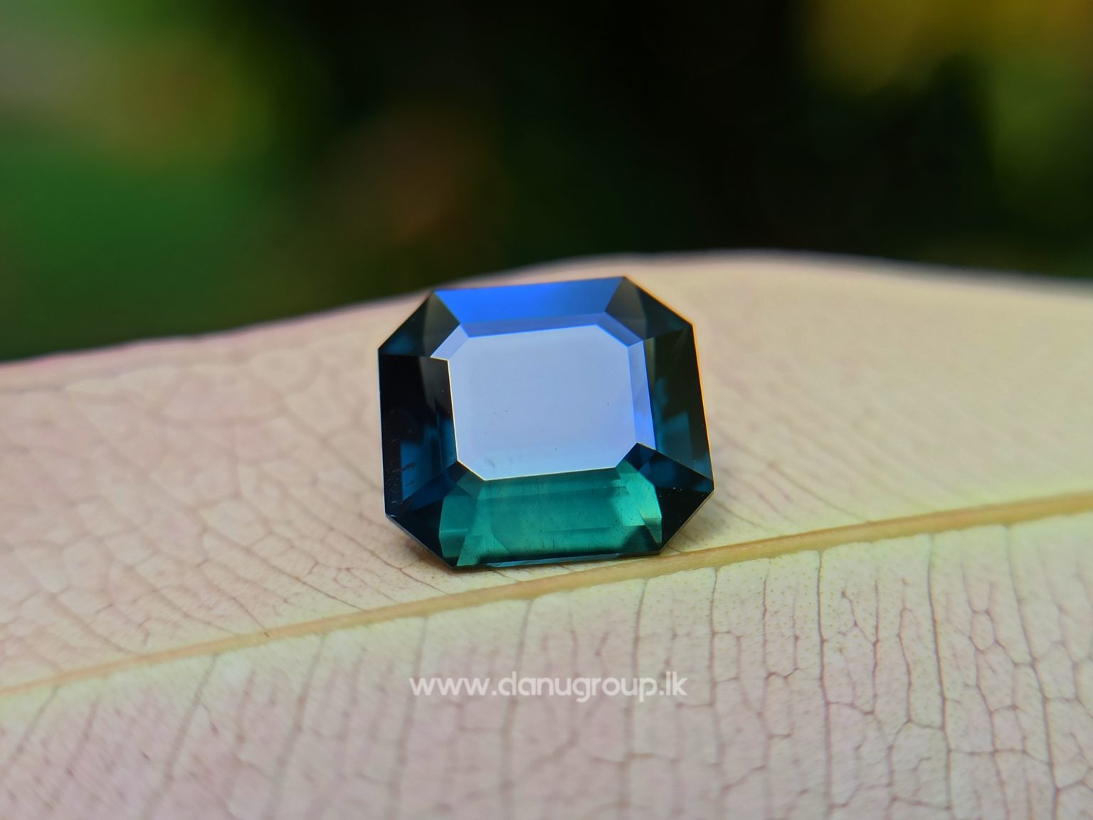 Natural Dark Green Sapphire Unheated Octagon shape stone from Danu Group Gemstones Collections