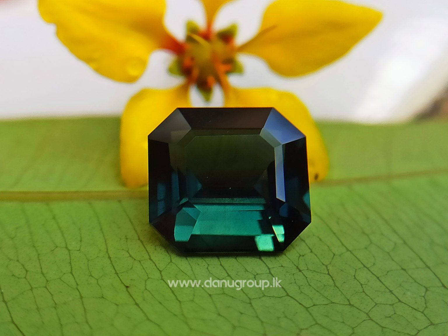 Natural Dark Green Sapphire Unheated Octagon shape stone from Danu Group Gemstones Collections