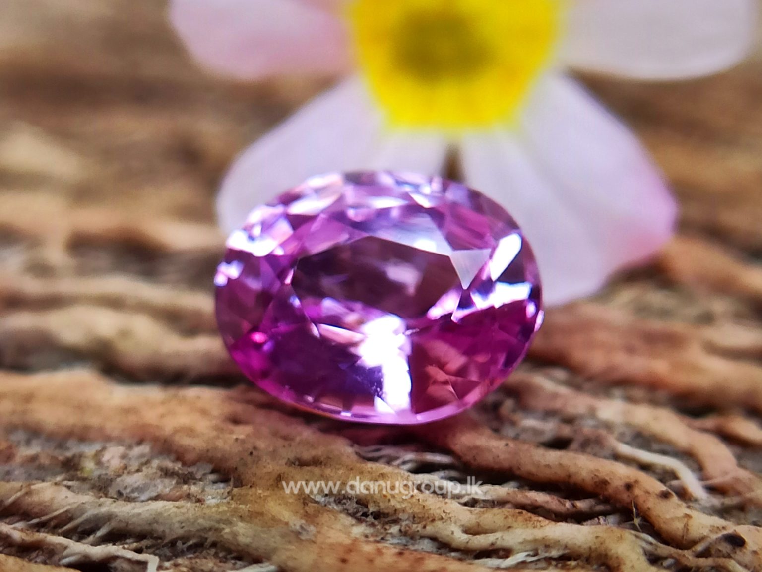 Ceylon Natural Pink Sapphire Oval shape Unheated Gem from Danu Group