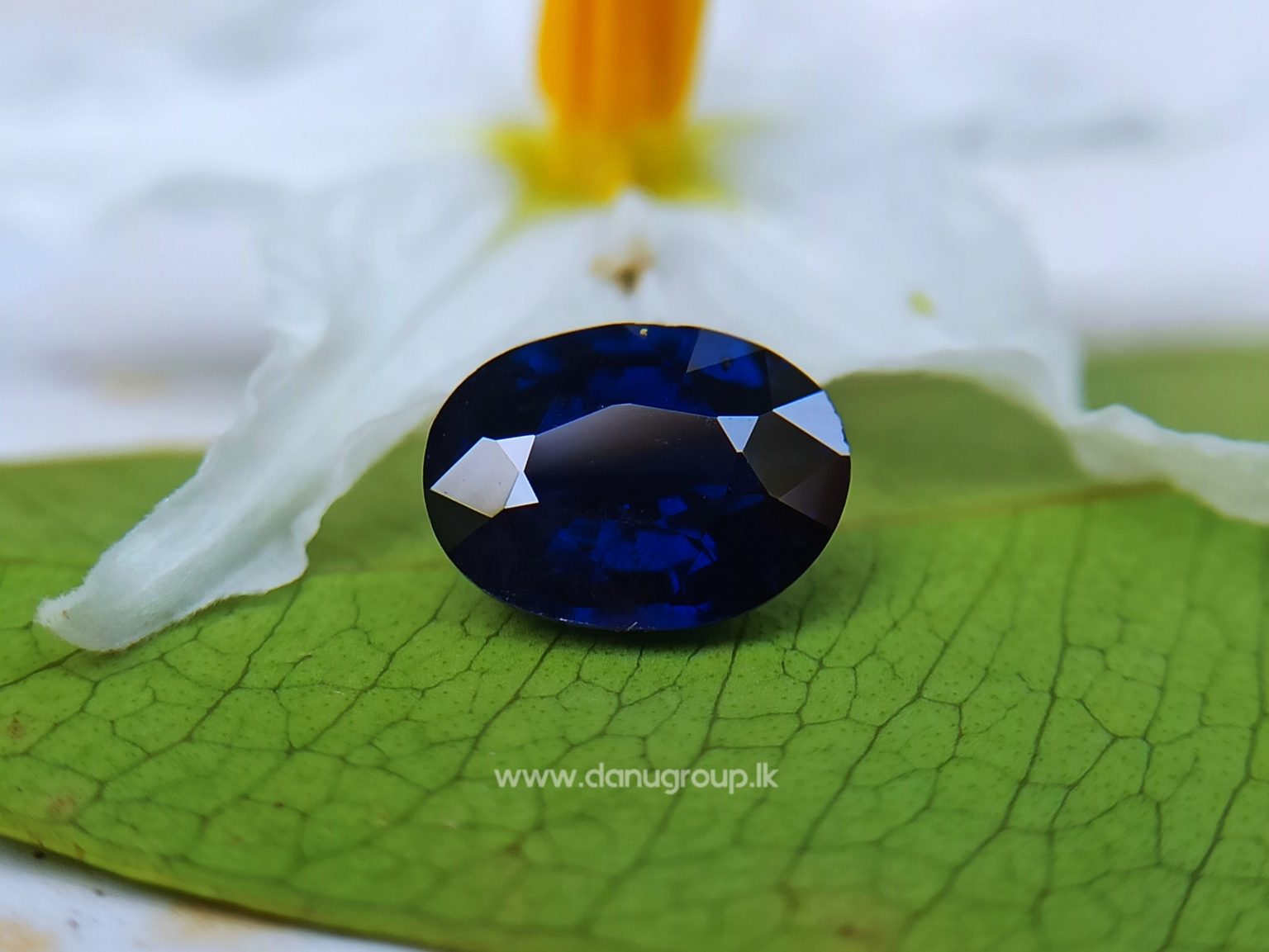 Dark Blue Sapphire Kaka neelam Stone of saturn astrological gem Danu Group Gemstones