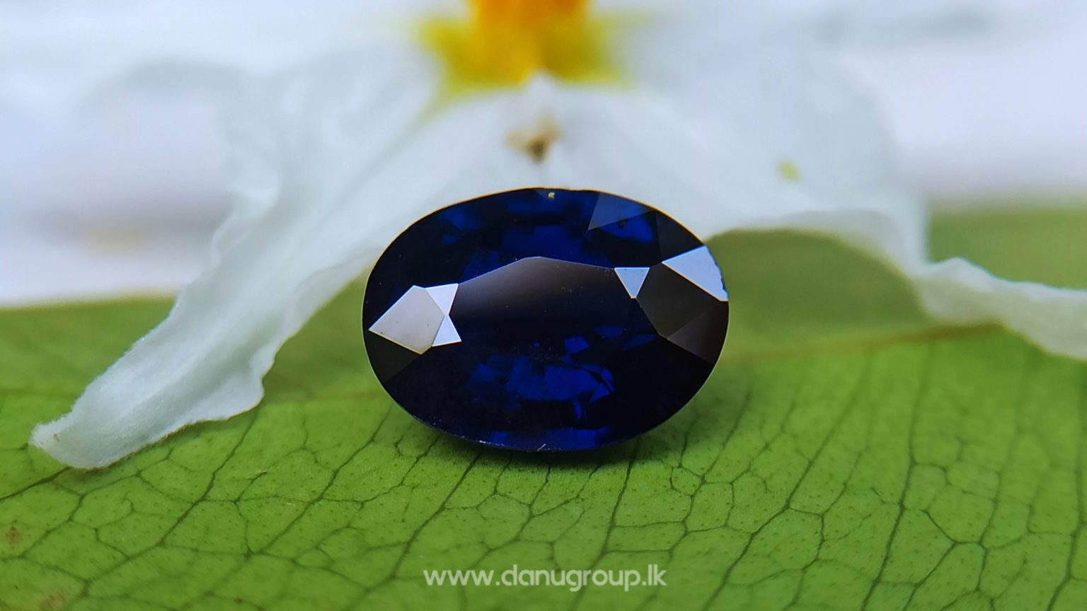 Dark Blue Sapphire Kaka neelam Stone of saturn astrological gem Danu Group Gemstones