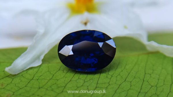 Dark Blue Sapphire Kaka neelam Stone of saturn astrological gem Danu Group Gemstones