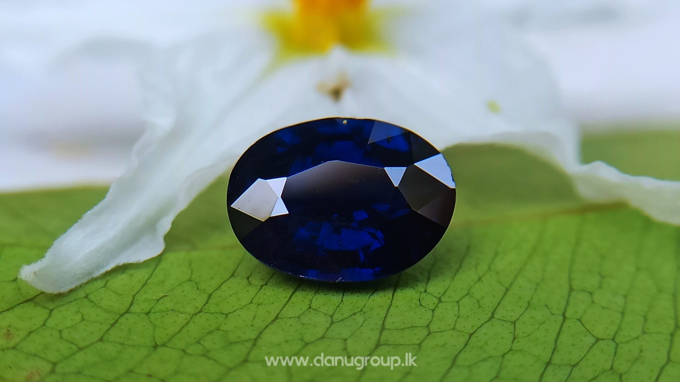 Ceylon Natural Dark Blue Sapphire Kaka Neelam