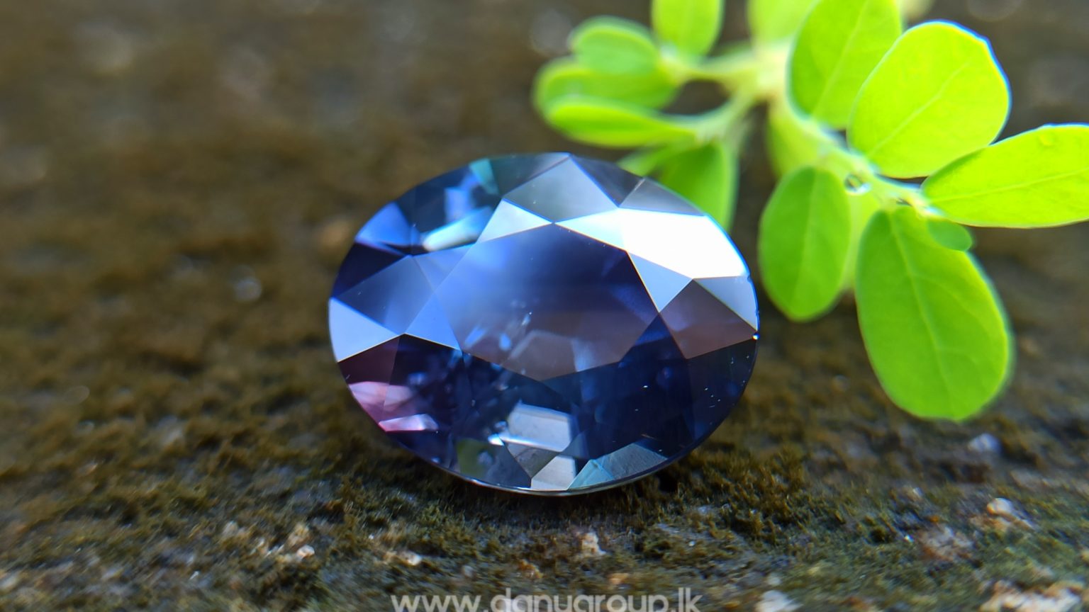 Dark purple sapphire oval shape 2 ct plus gem from Danu Group Gemstones Collections danugroup.lk