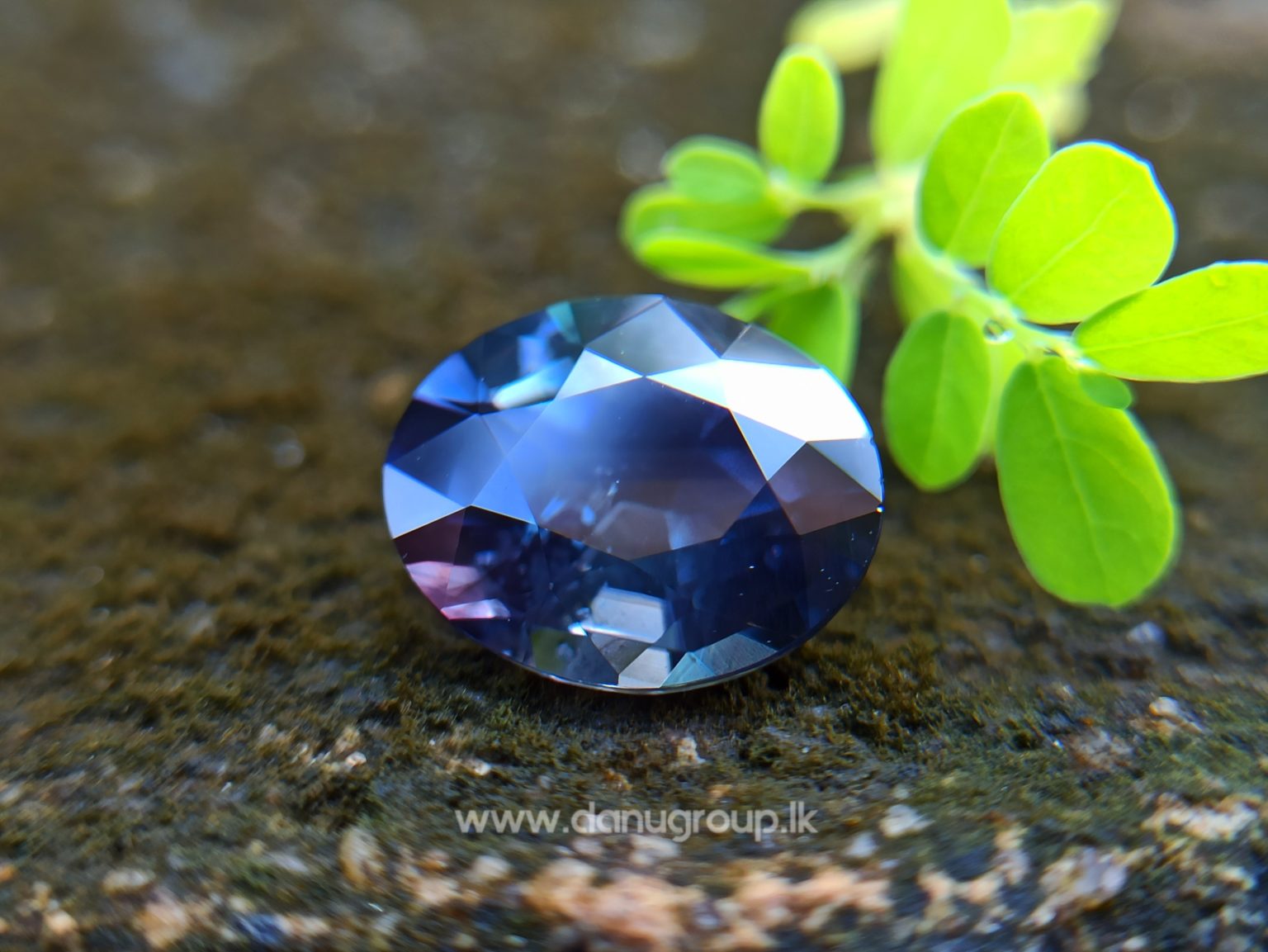 Dark purple sapphire oval shape 2 ct plus gem from Danu Group Gemstones Collections danugroup.lk