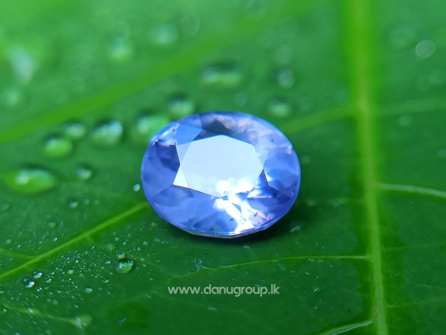 Ceylon Natural Violet Sapphire One of the best choice of women danu group Gemstones Collections