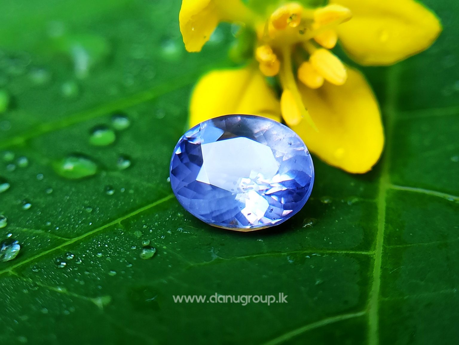 Ceylon Natural Violet Sapphire One of the best choice of women danu group Gemstones Collections