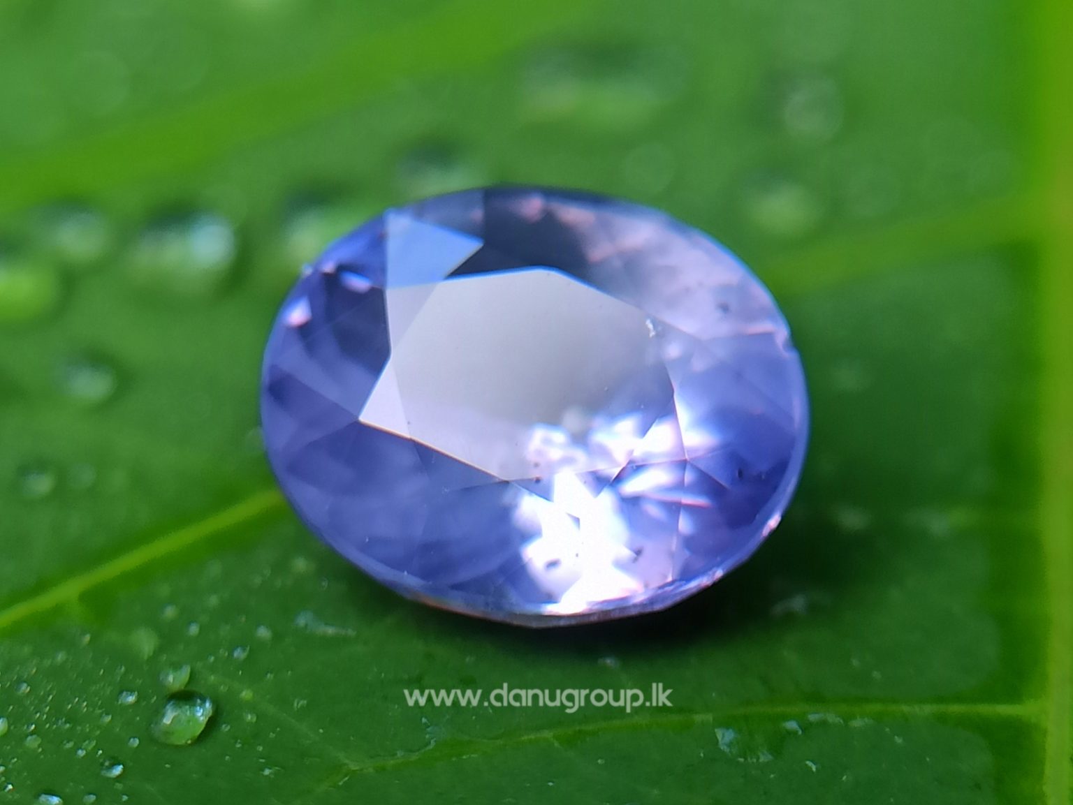 Ceylon Natural Violet Sapphire One of the best choice of women danu group Gemstones Collections