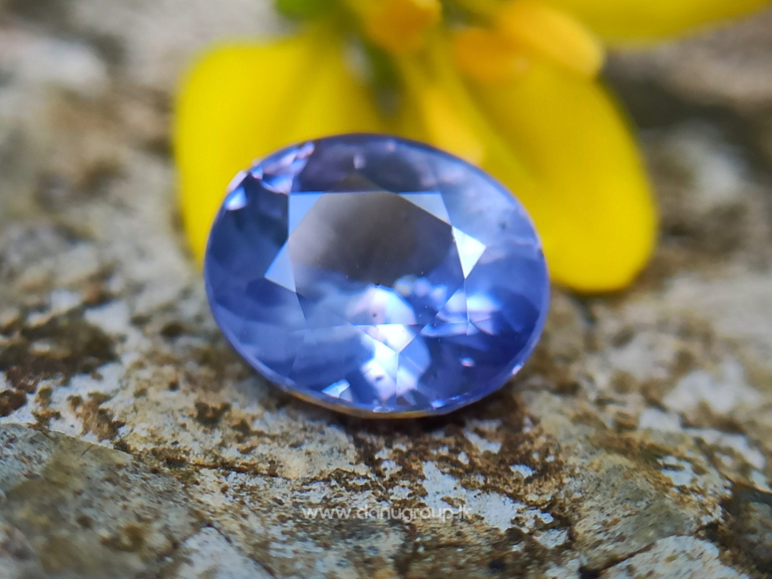 Ceylon Natural Violet Sapphire One of the best choice of women danu group Gemstones Collections