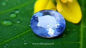 Ceylon Natural Violet Sapphire One of the best choice of women danu group Gemstones Collections