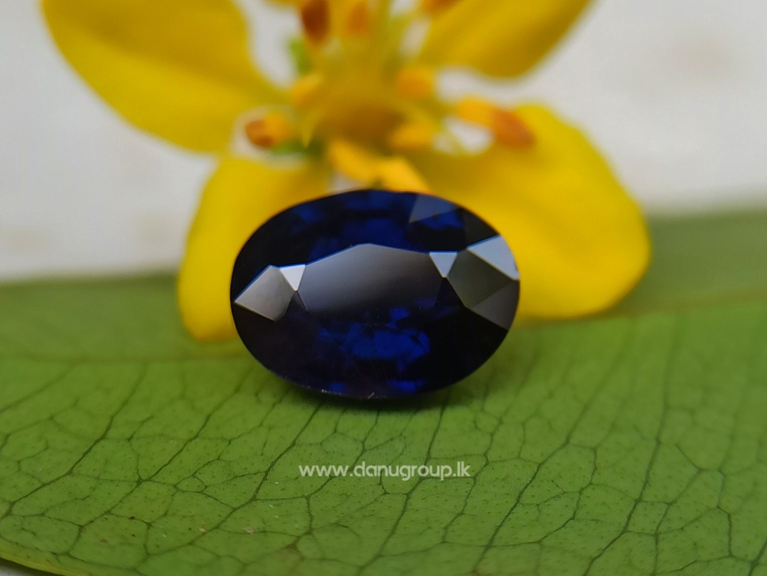 Dark Blue Sapphire Kaka neelam Stone of saturn astrological gem Danu Group Gemstones