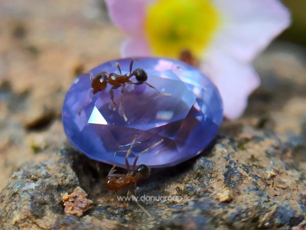 Natural Purple Sapphire Oval Shape stone from Danu Group
