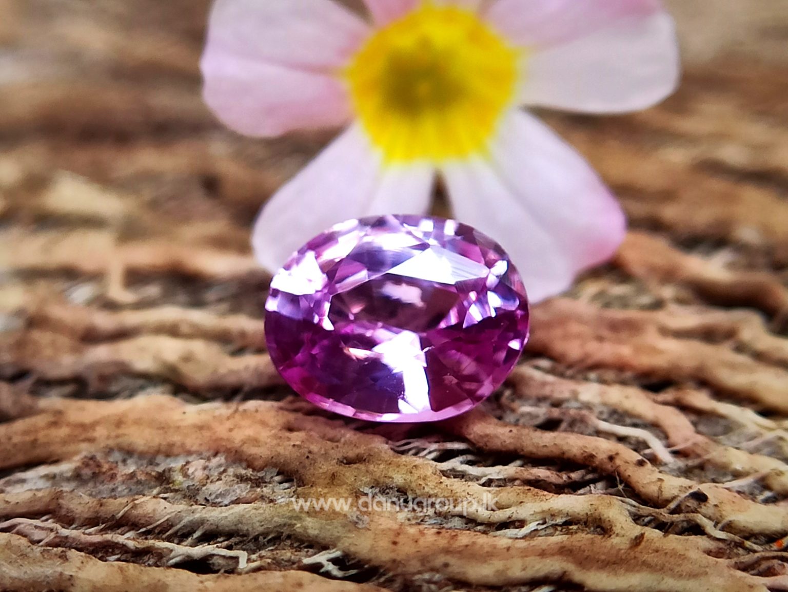 Ceylon Natural Pink Sapphire Oval shape Unheated Gem from Danu Group