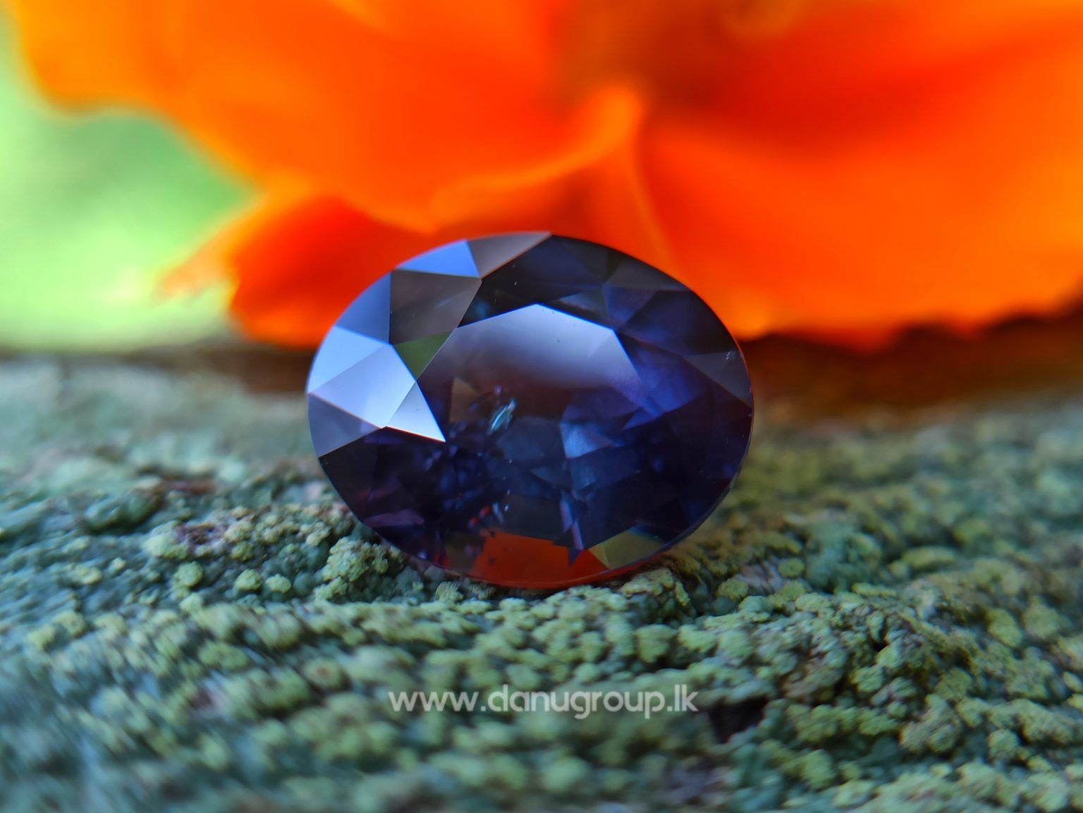 Dark purple sapphire oval shape 2 ct plus gem from Danu Group Gemstones Collections danugroup.lk