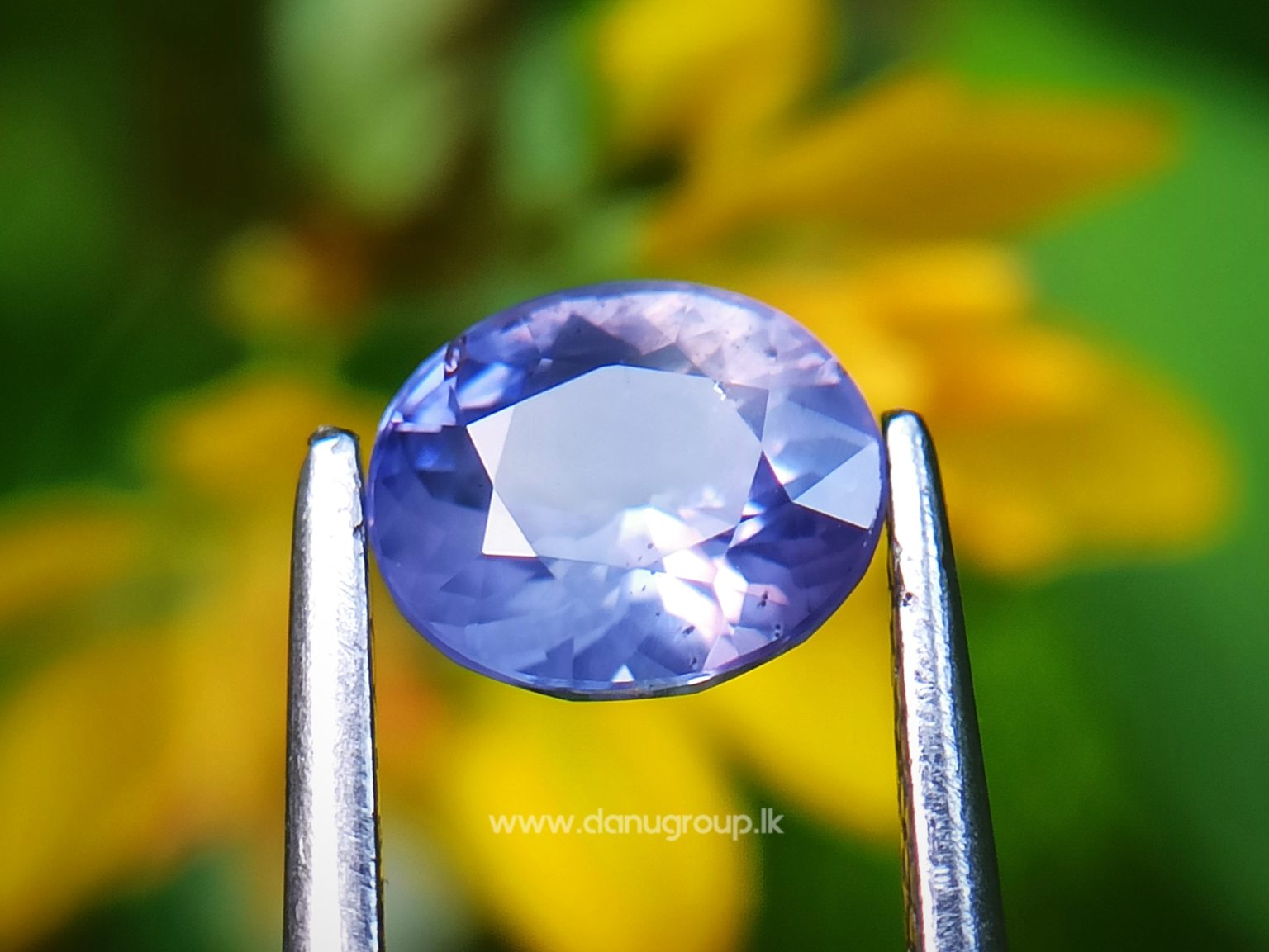 Ceylon Natural Violet Sapphire One of the best choice of women danu group Gemstones Collections
