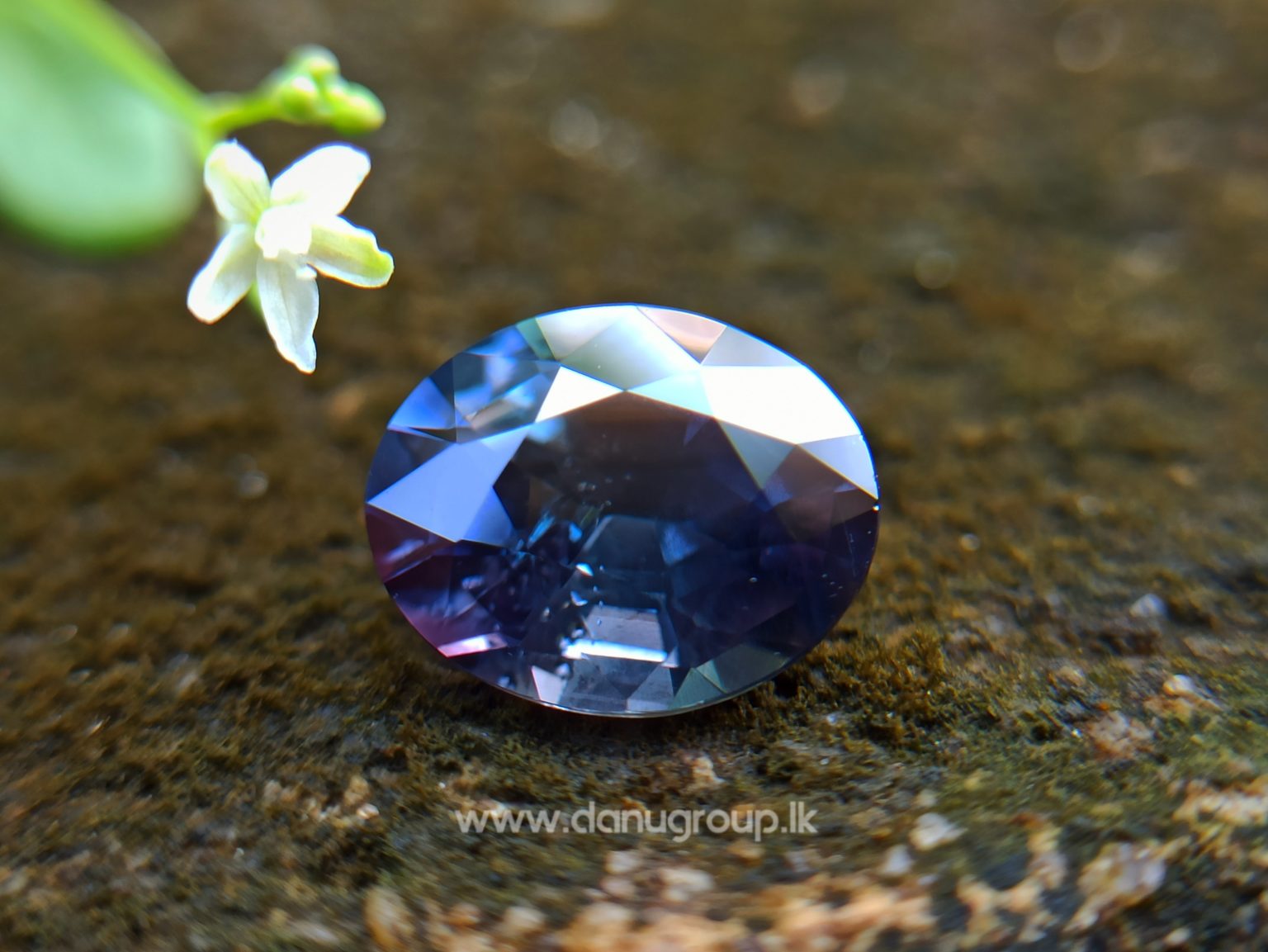 Dark purple sapphire oval shape 2 ct plus gem from Danu Group Gemstones Collections danugroup.lk