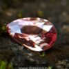 Natural Padparadscha Sapphire King sapphire from Danu Group