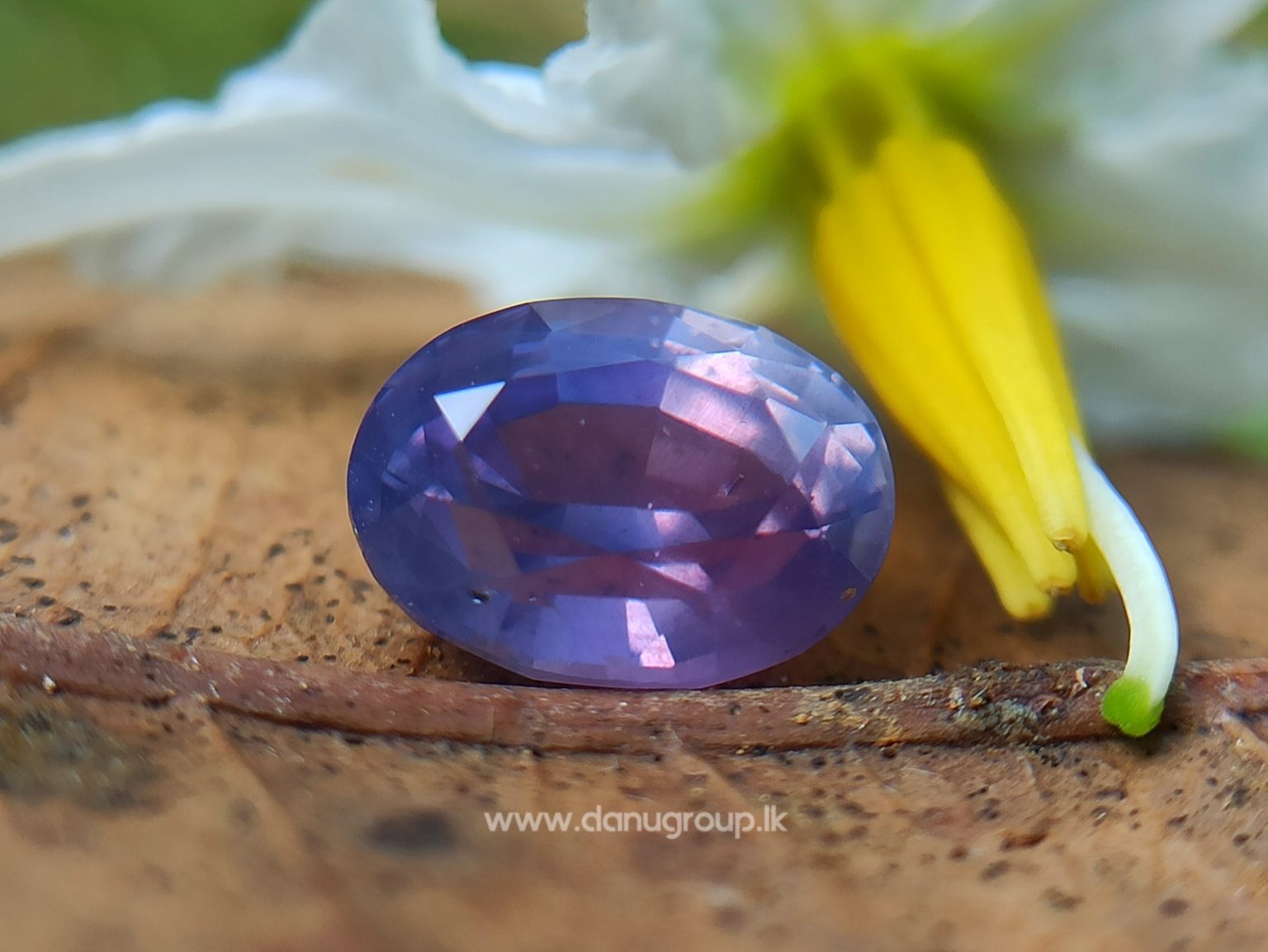Natural Purple Sapphire Oval Shape stone from Danu Group