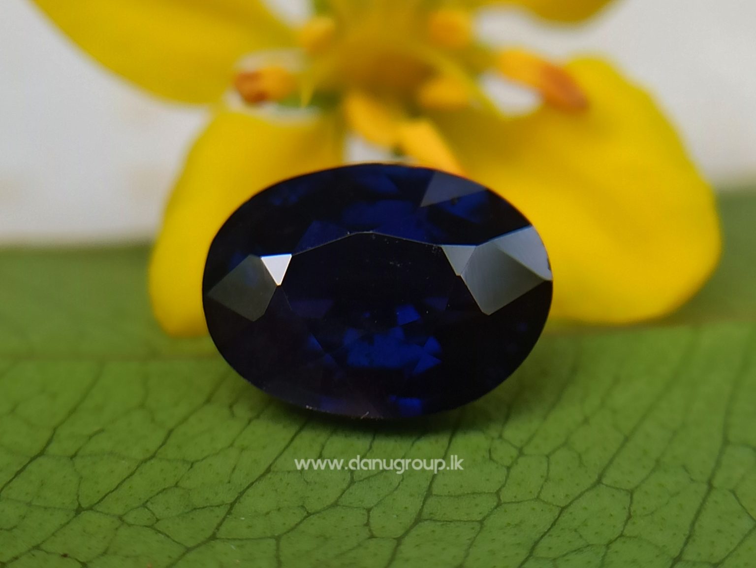 Dark Blue Sapphire Kaka neelam Stone of saturn astrological gem Danu Group Gemstones