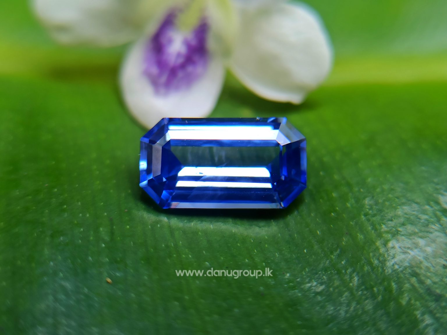 CEYLON BLUE SAPPHIRE OCTAGON SHAPE STONE NICE GEM FOR ENGAGEMENT RING - DANU GROUP GEMSTONES