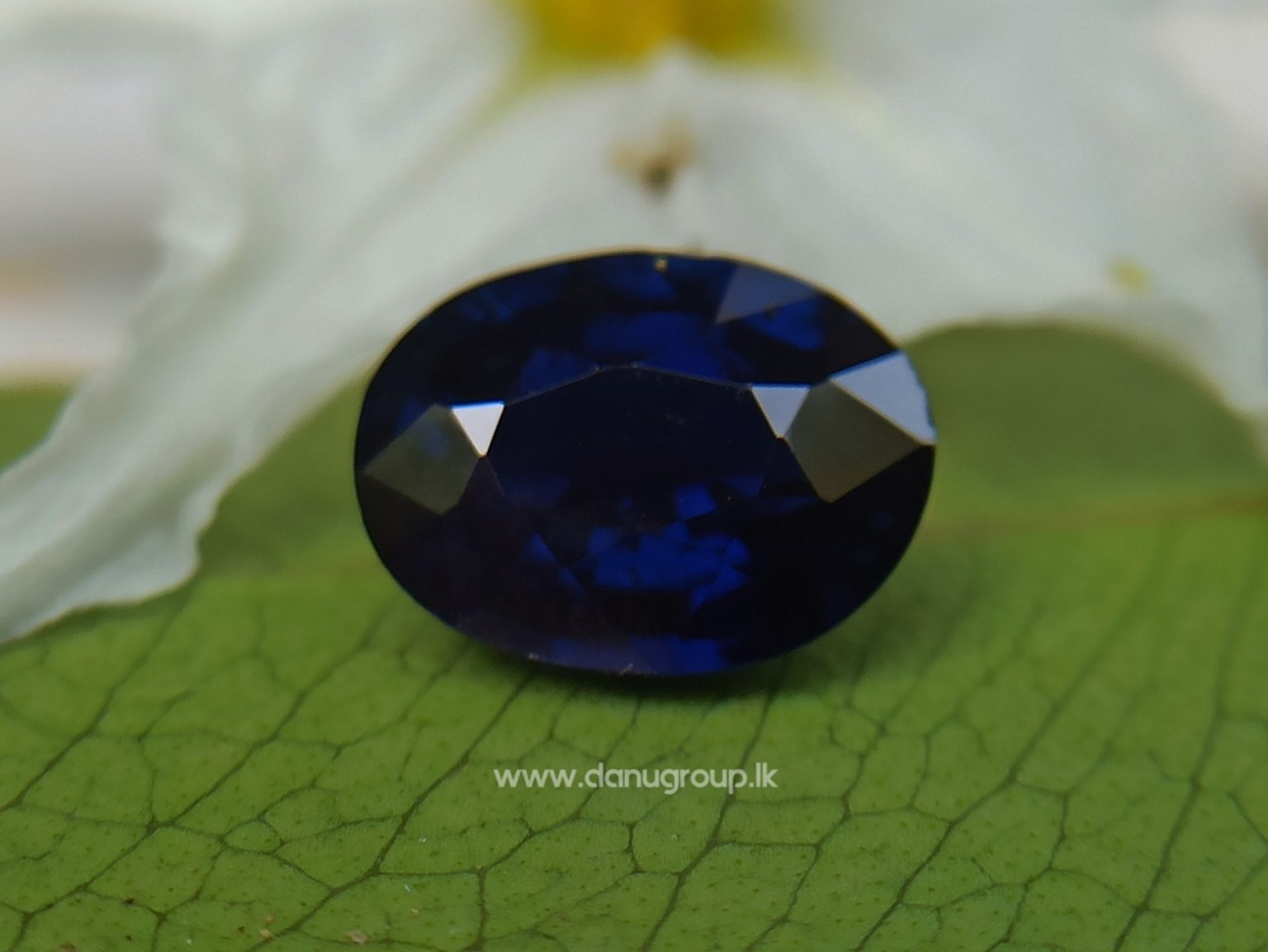 Dark Blue Sapphire Kaka neelam Stone of saturn astrological gem Danu Group Gemstones