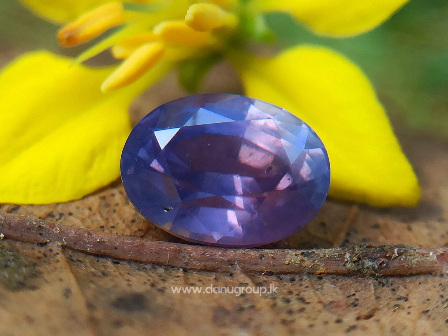 Natural Purple Sapphire Oval Shape stone from Danu Group