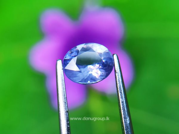 Ceylon Natural Violet Sapphire One of the best choice of women danu group Gemstones Collections