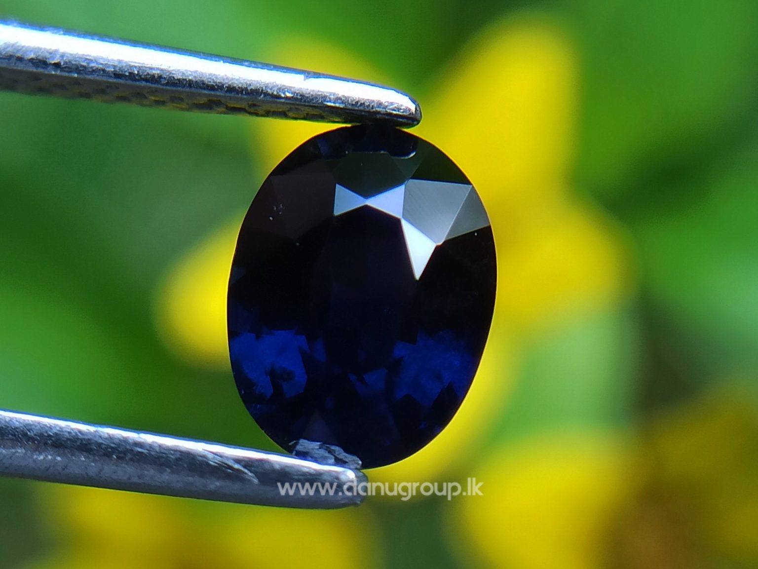 Dark Blue Sapphire Kaka neelam Stone of saturn astrological gem Danu Group Gemstones