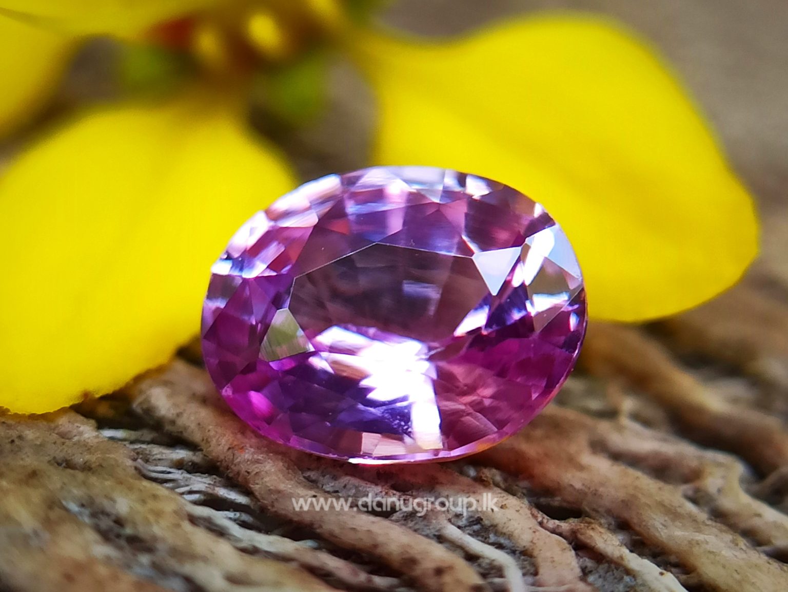 Ceylon Natural Pink Sapphire Oval shape Unheated Gem from Danu Group