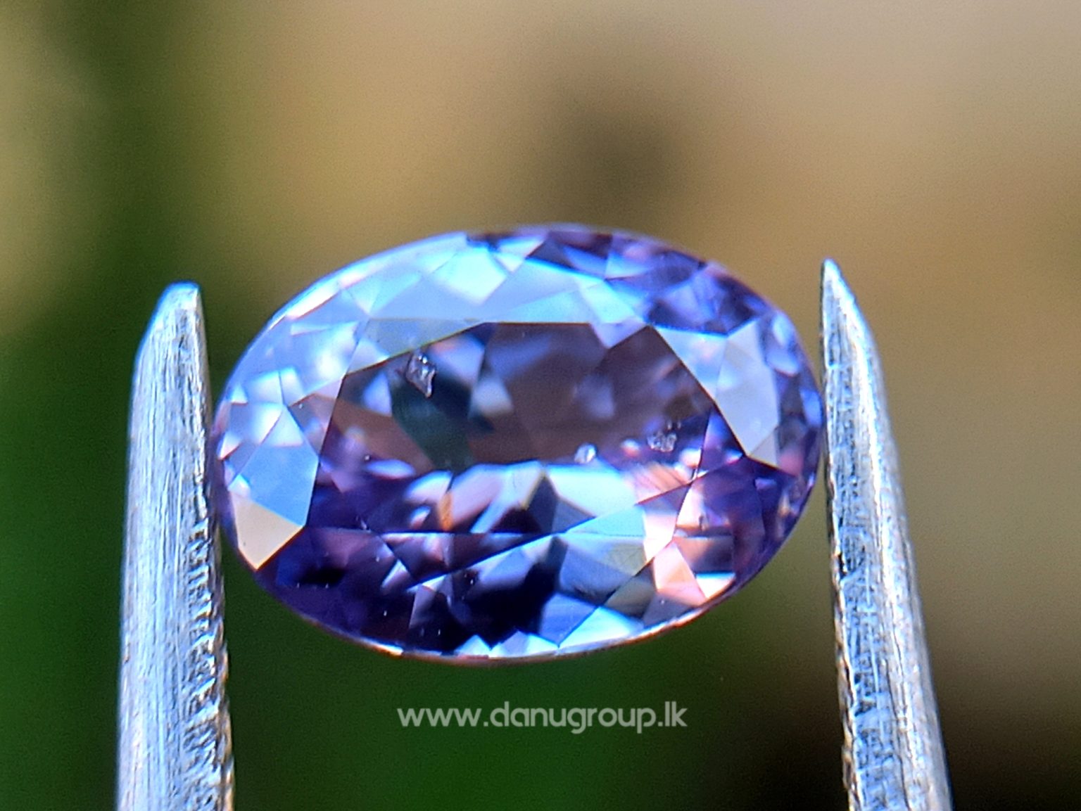 Ceylon Natural Violet Sapphire Danu Group Gemstones Collections - Violet Gemstone