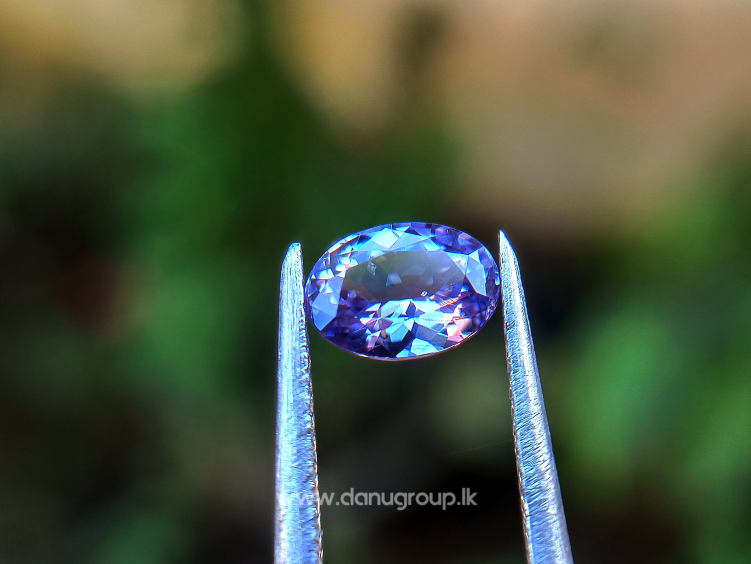 Ceylon Natural Violet Sapphire Danu Group Gemstones Collections - Violet Gemstone