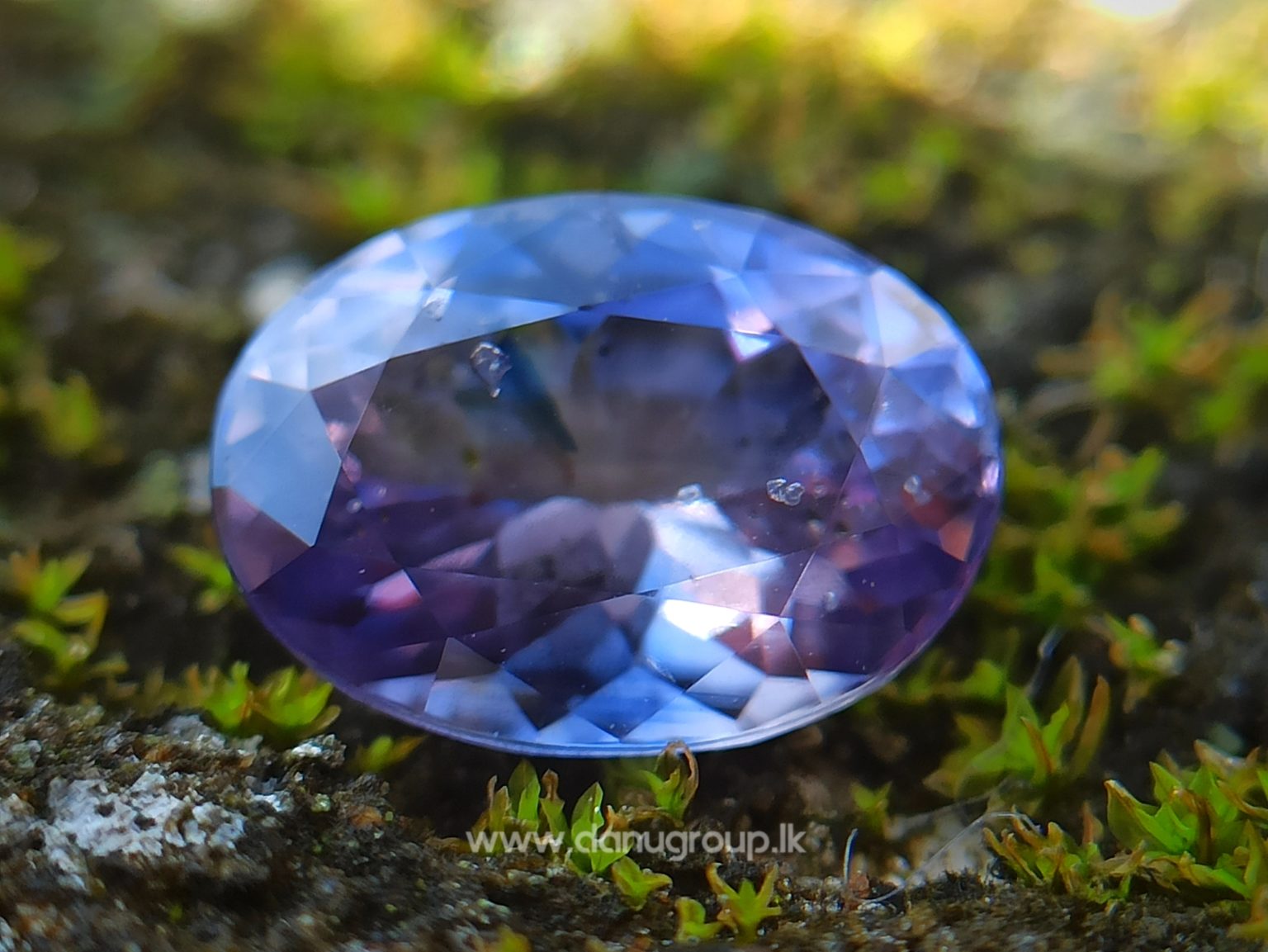 Ceylon Natural Violet Sapphire Danu Group Gemstones Collections - Violet Gemstone