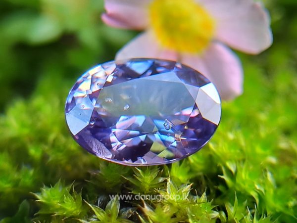 Ceylon Natural Violet Sapphire Danu Group Gemstones Collections - Violet Gemstone
