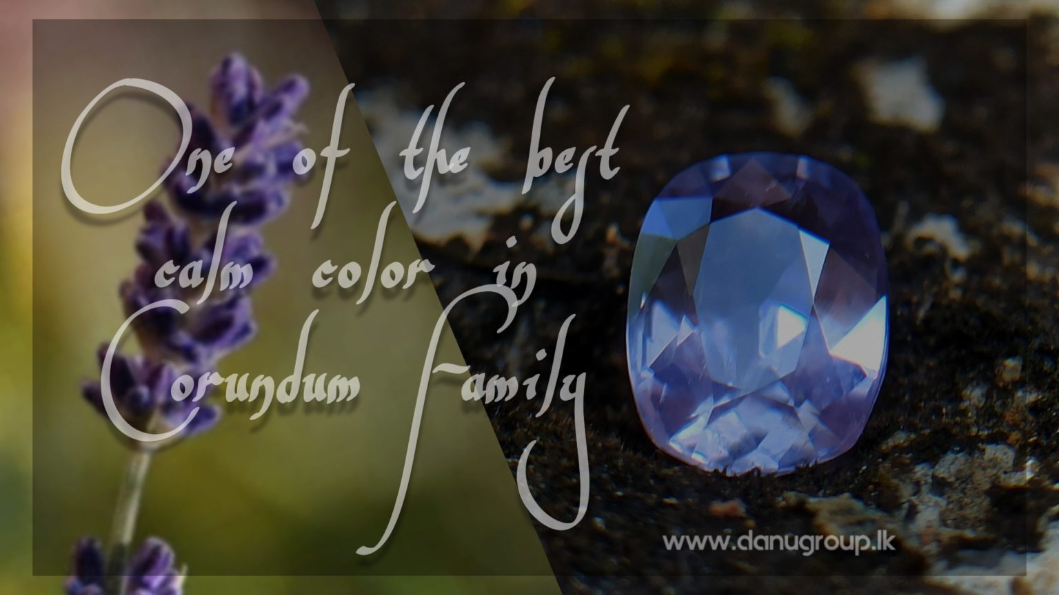 Lavender Violet Sapphire - Natural Violet sapphire cushion shape Unheated stone from Danu Group