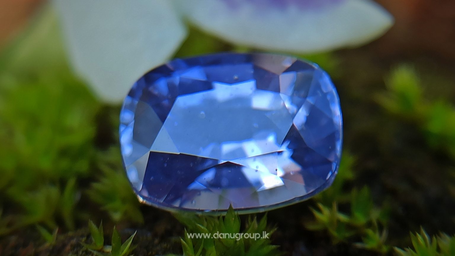 Ceylon Natural Violet Sapphire Danu Group orchid color cushion shape Gemstones
