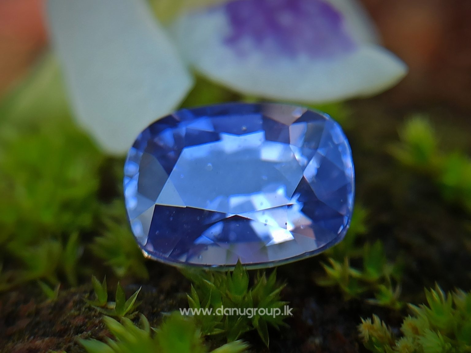 Ceylon Natural Violet Sapphire Danu Group orchid color cushion shape Gemstones
