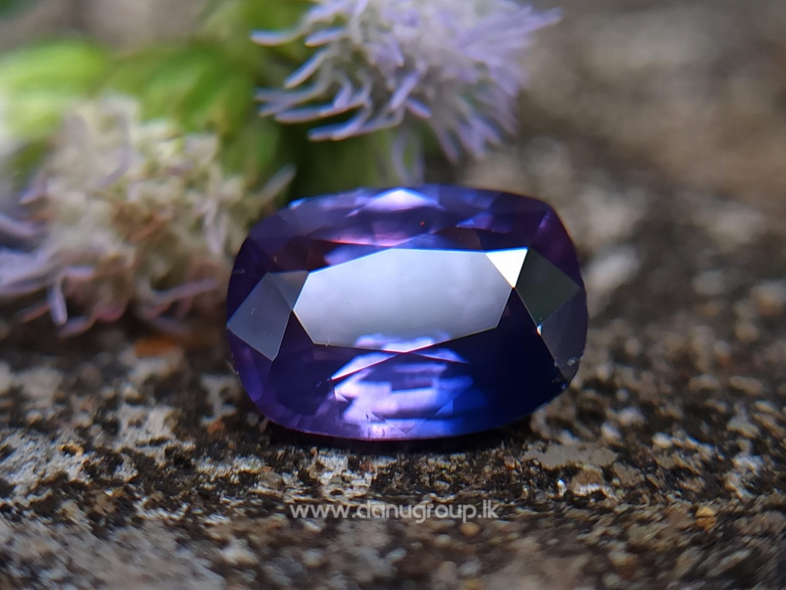 Ceylon Purple Sapphire with Blue color zoning Danu Group Gemstones from ceylon