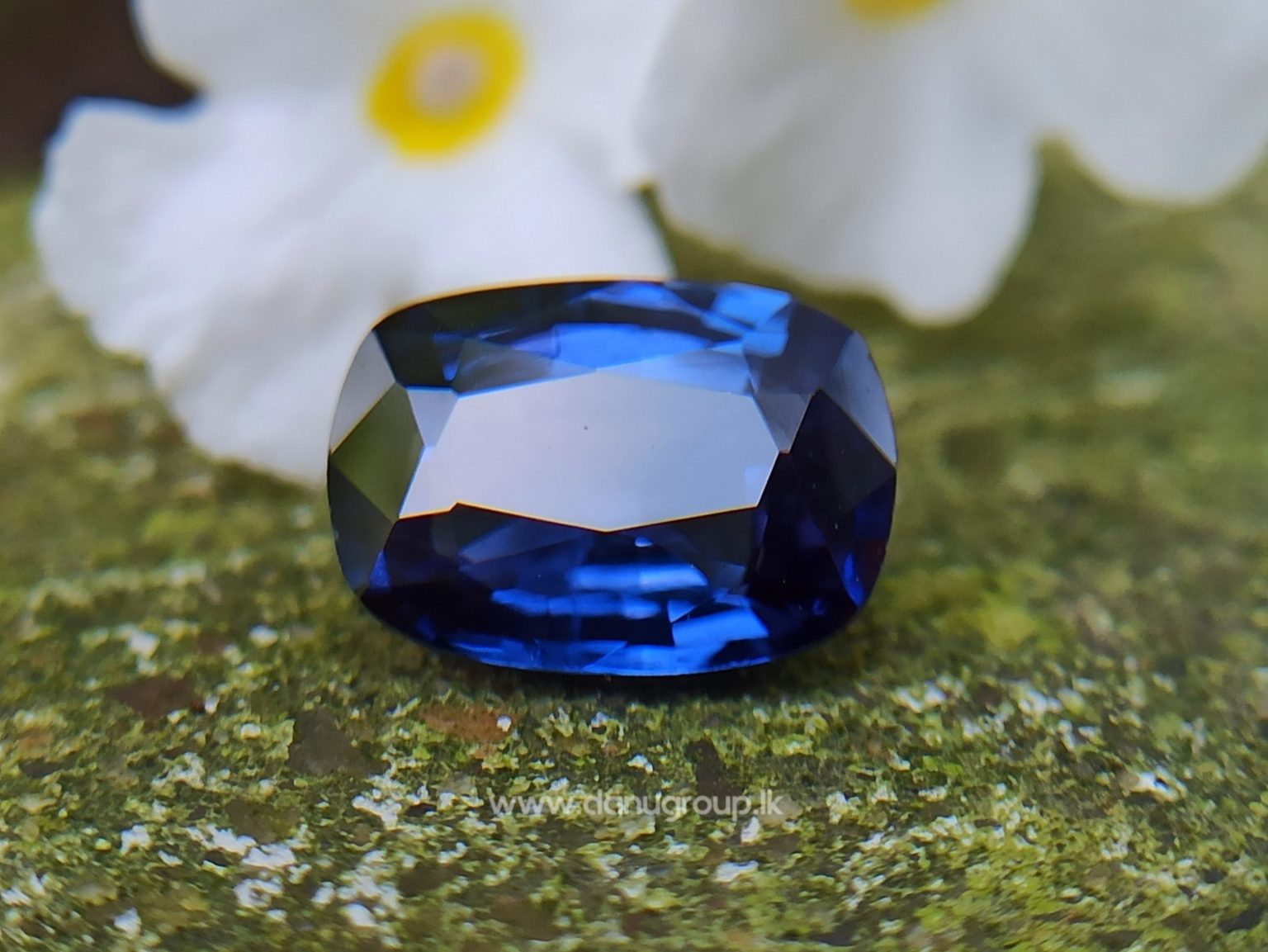 Ceylon Blue Sapphire Cushion shape Gemstone from Danu Group Collection