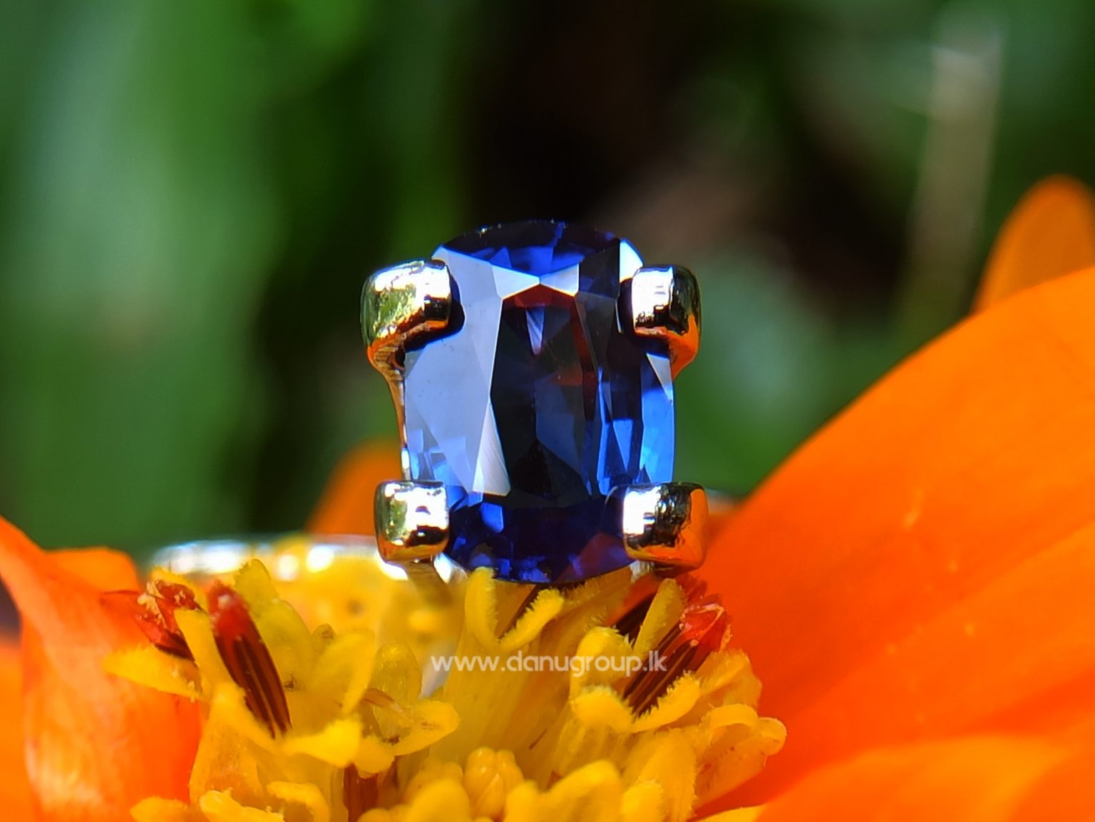 Ceylon Blue Sapphire Cushion shape Gemstone from Danu Group Collection