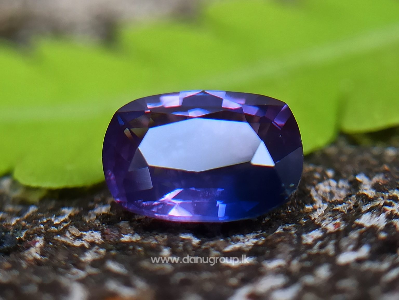 Ceylon Purple Sapphire with Blue color zoning Danu Group Gemstones from ceylon