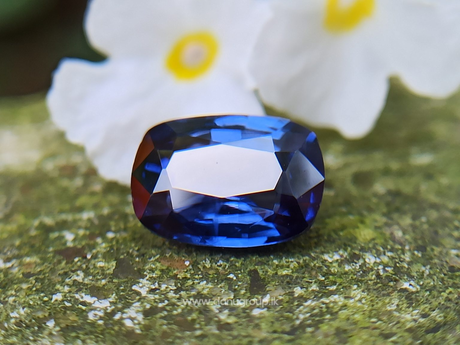 Ceylon Blue Sapphire Cushion shape Gemstone from Danu Group Collection