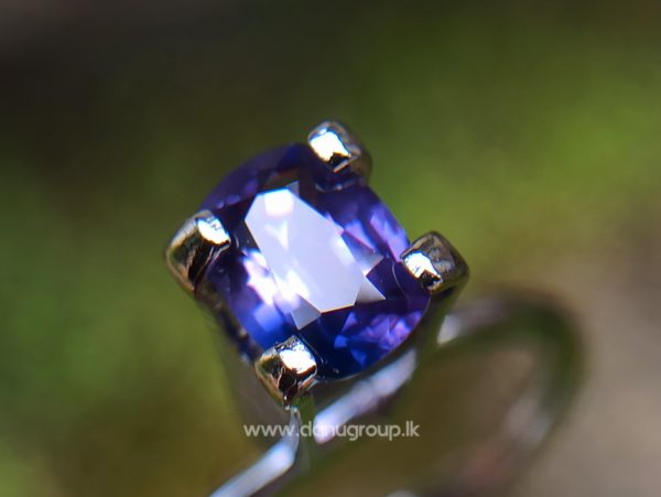 Ceylon Purple Sapphire with Blue color zoning Danu Group Gemstones